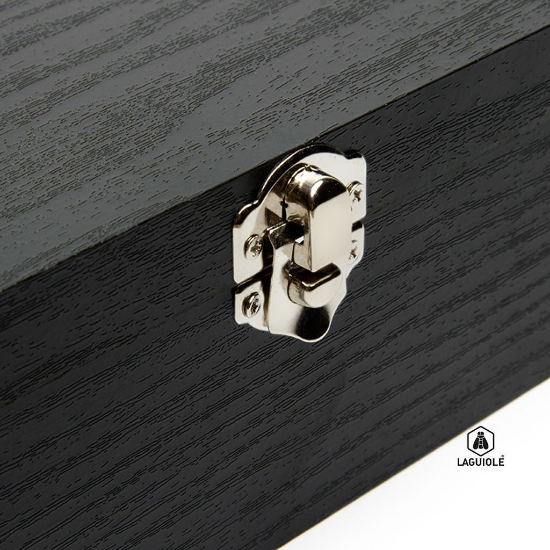 Imagen de Set de mesa x 16 piezas Laguiole